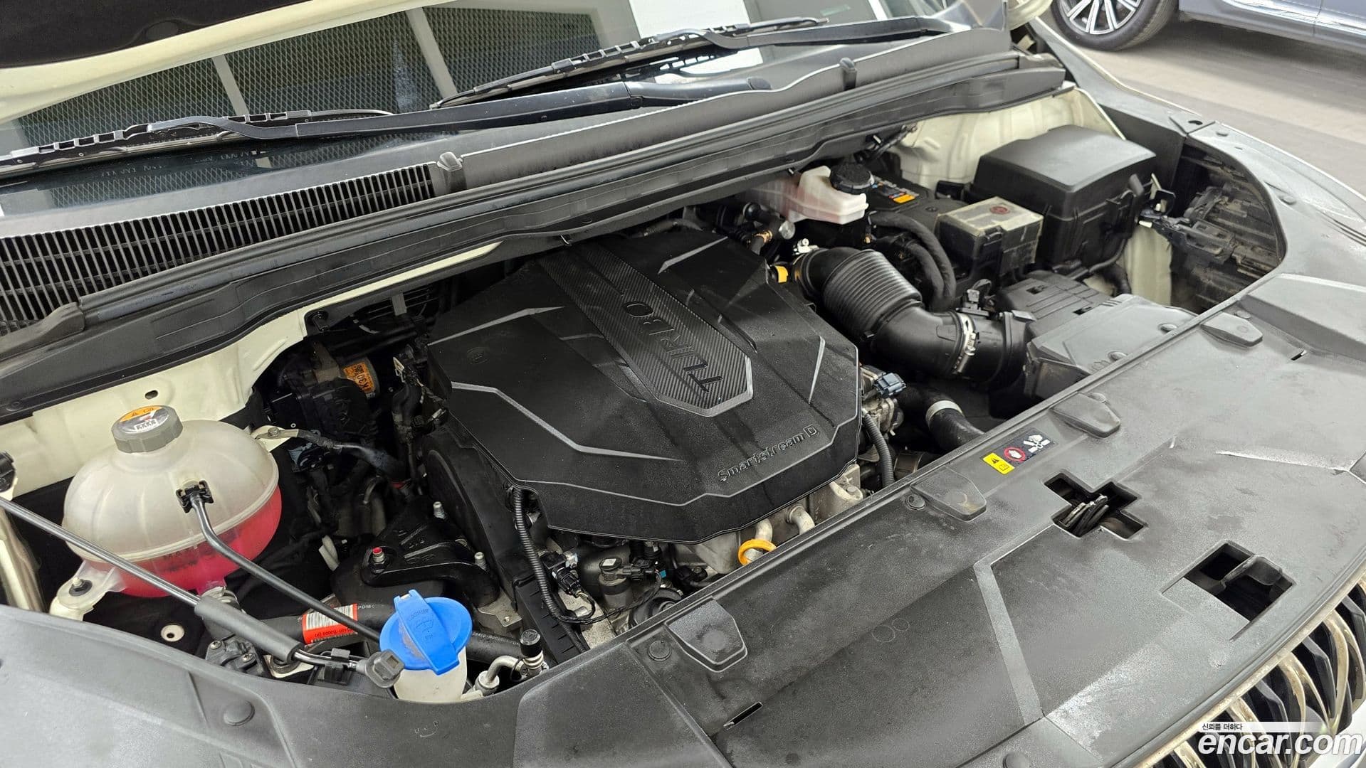 Main__Slider__Photo:Canival Kia 2021.2-5