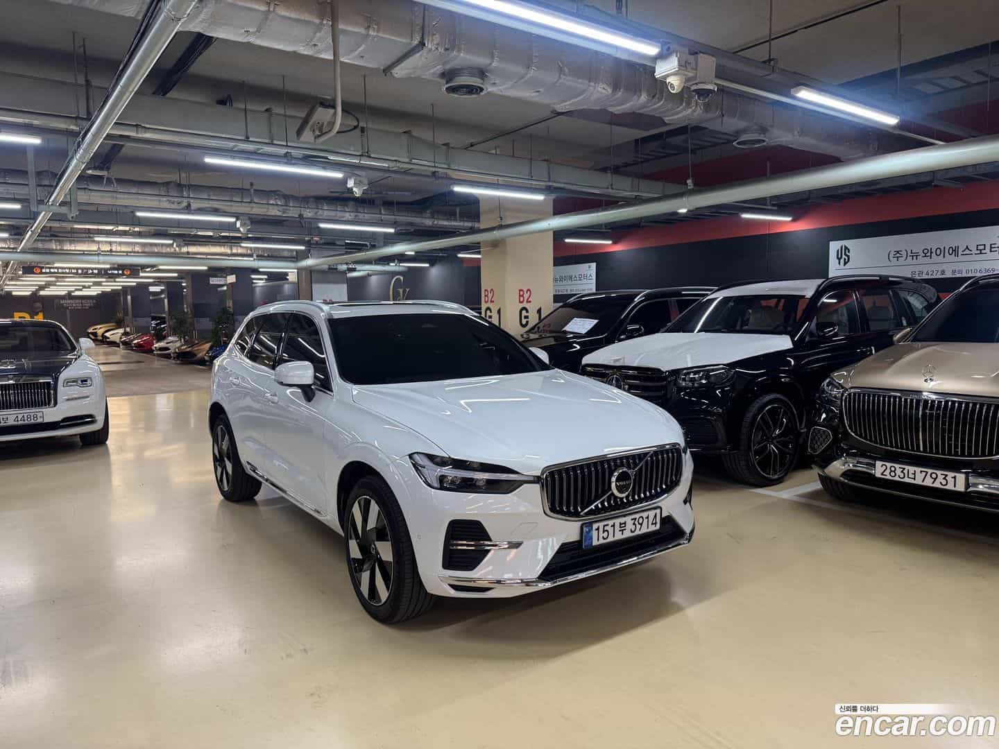 XC60 Volvo 2024.11-OPTION-022