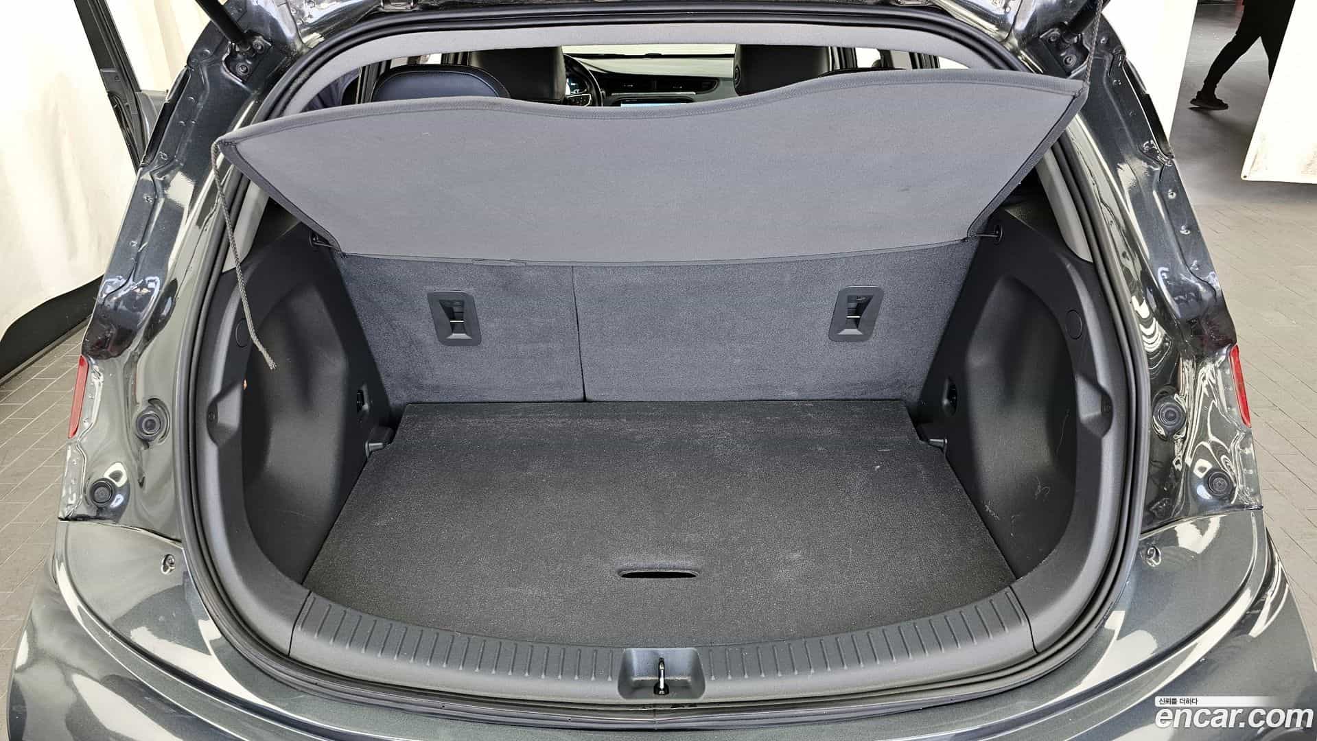 Bolt EV Chevrolet 2019.11-OPTION-024
