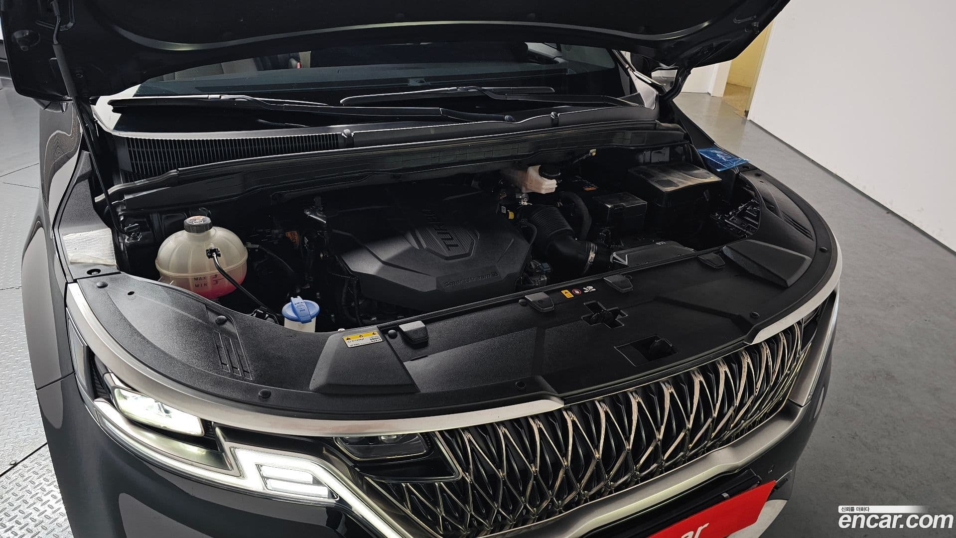 Main__Slider__Photo:Canival Kia 2023.6-5