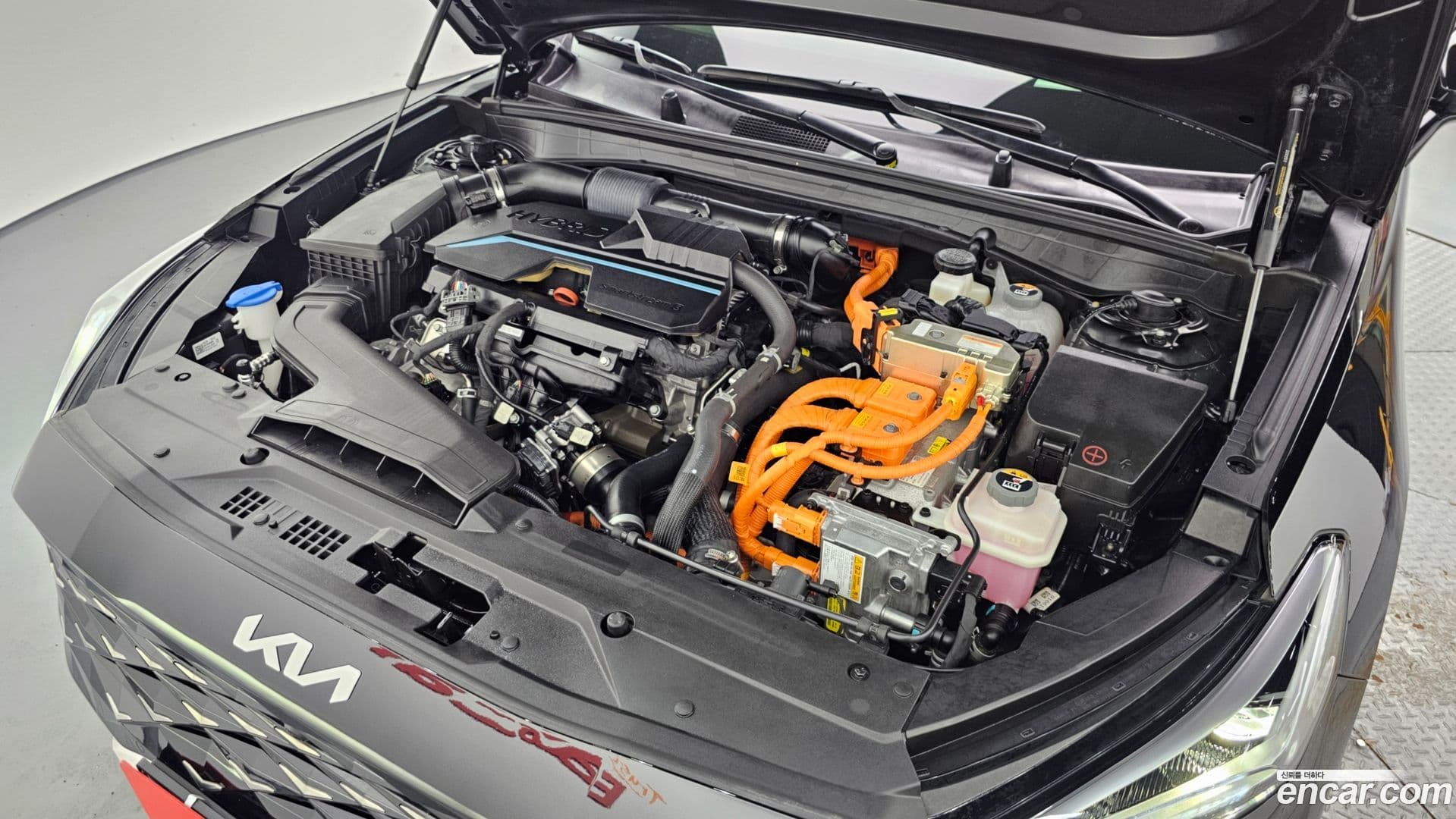 Main__Slider__Photo:K8 Kia 2022.2-5