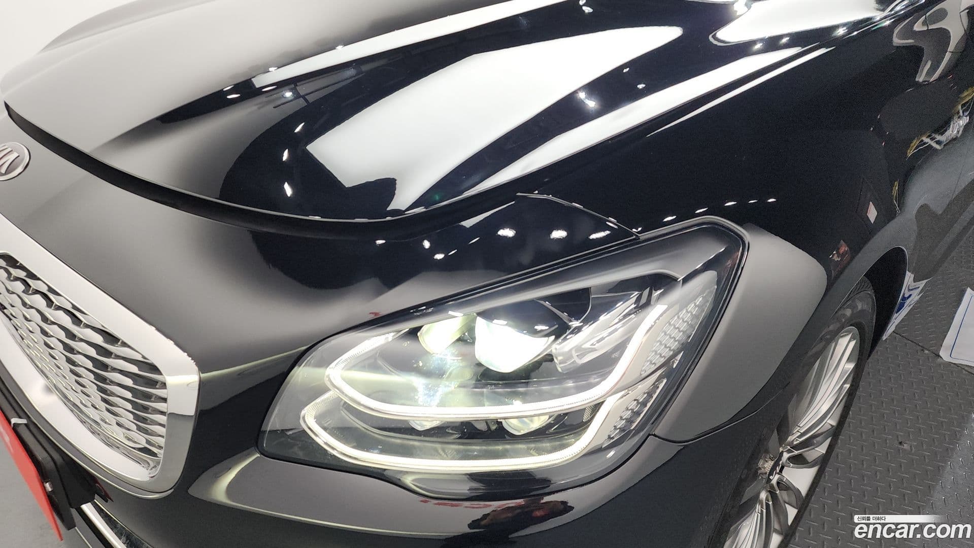 Main__Slider__Photo:K9 Kia 2021.3-21