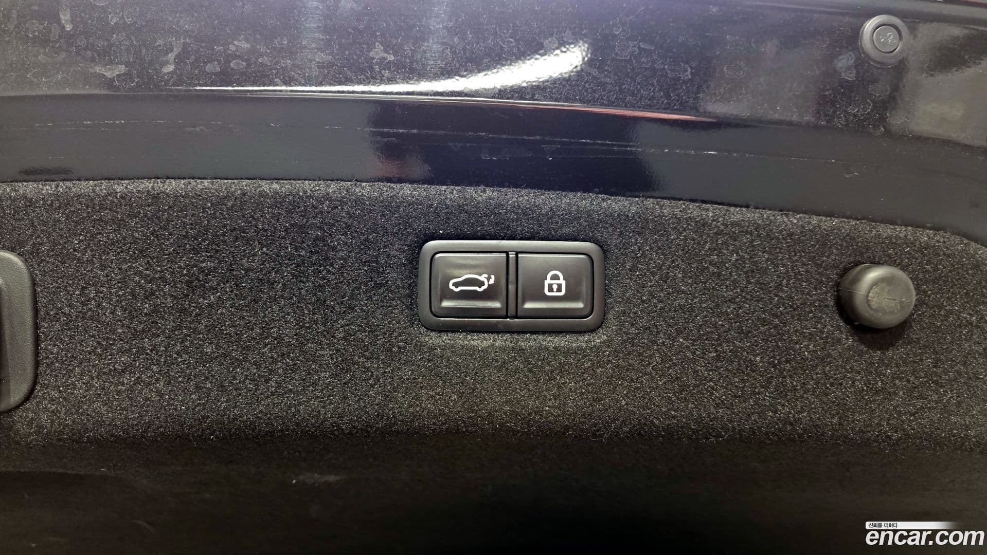 Main__Slider__Photo:K9 Kia 2022.11-28