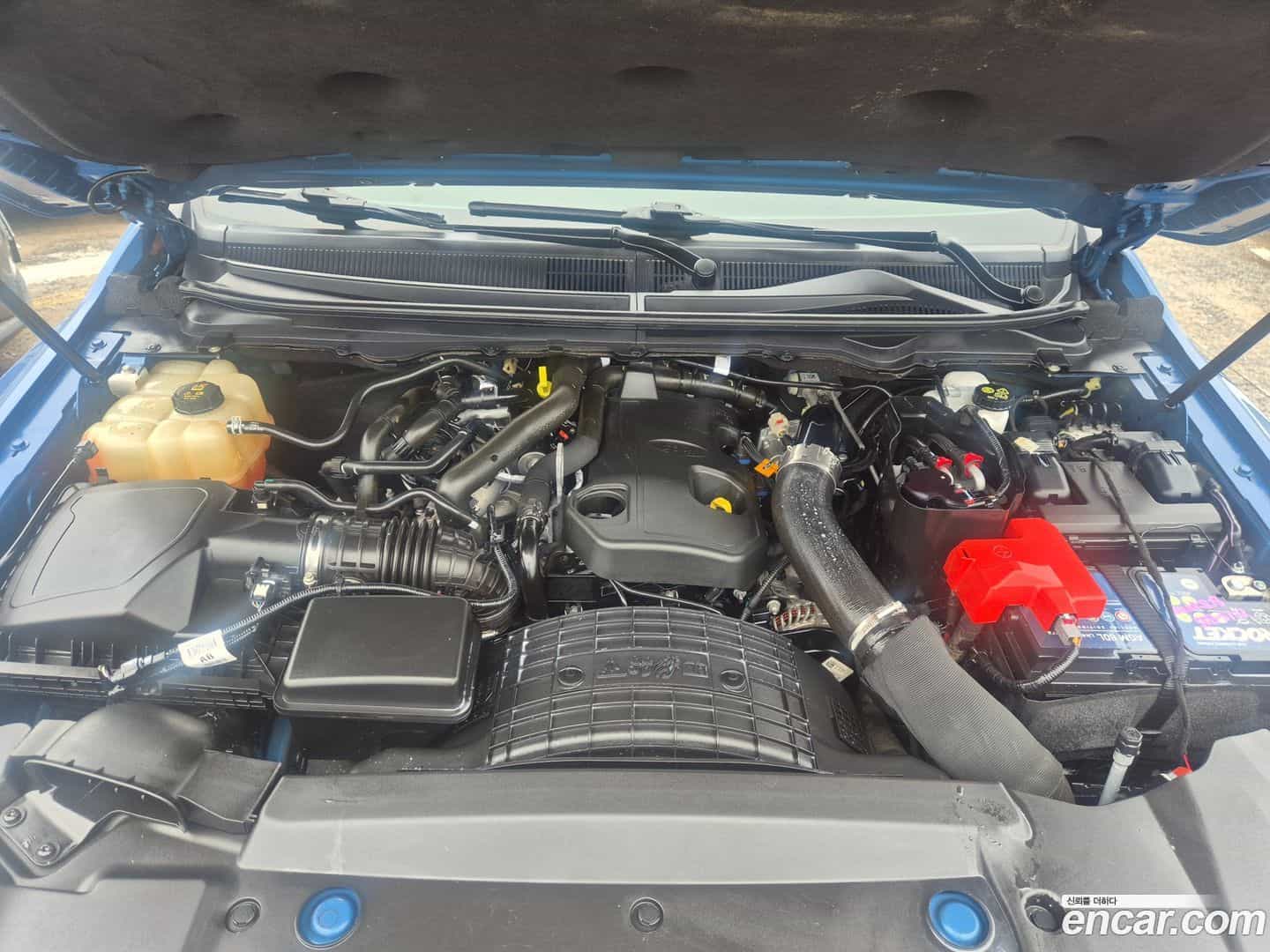 Ranger Ford 2022.1-OPTION-023