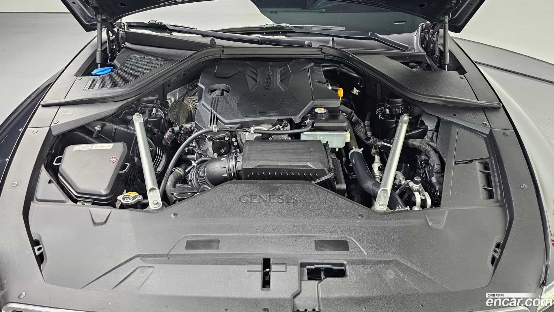 G80 Genesis 2020.4-OUTER-006
