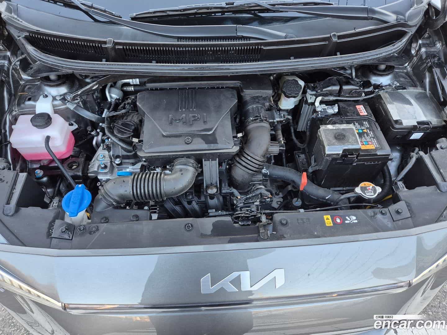 morning Kia 2024.11-INNER-007