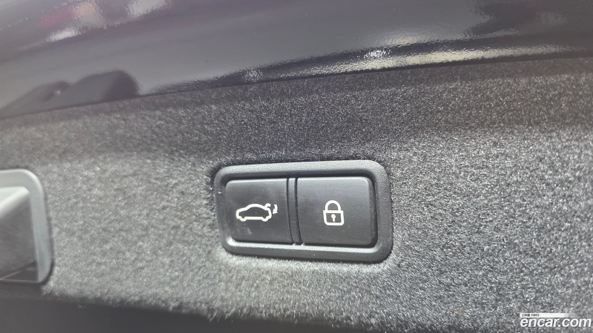 Main__Slider__Photo:K9 Kia 2018.9-19