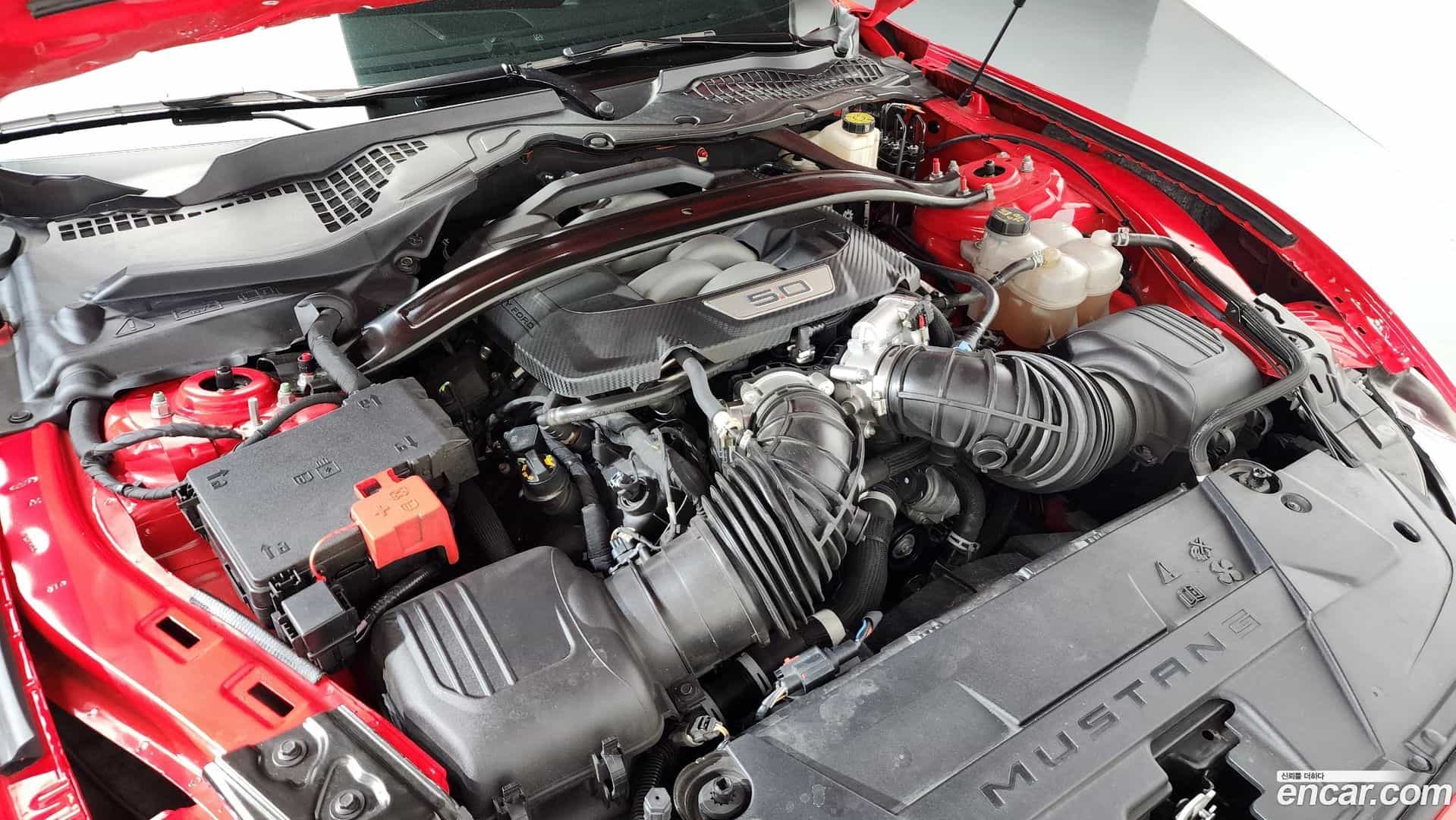 Mustang Ford 2024.11-OUTER-006