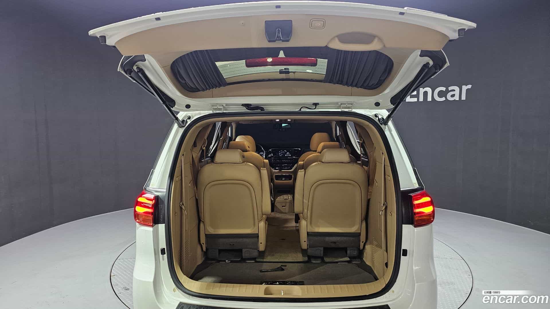 Canival Kia 2018.8-OPTION-024