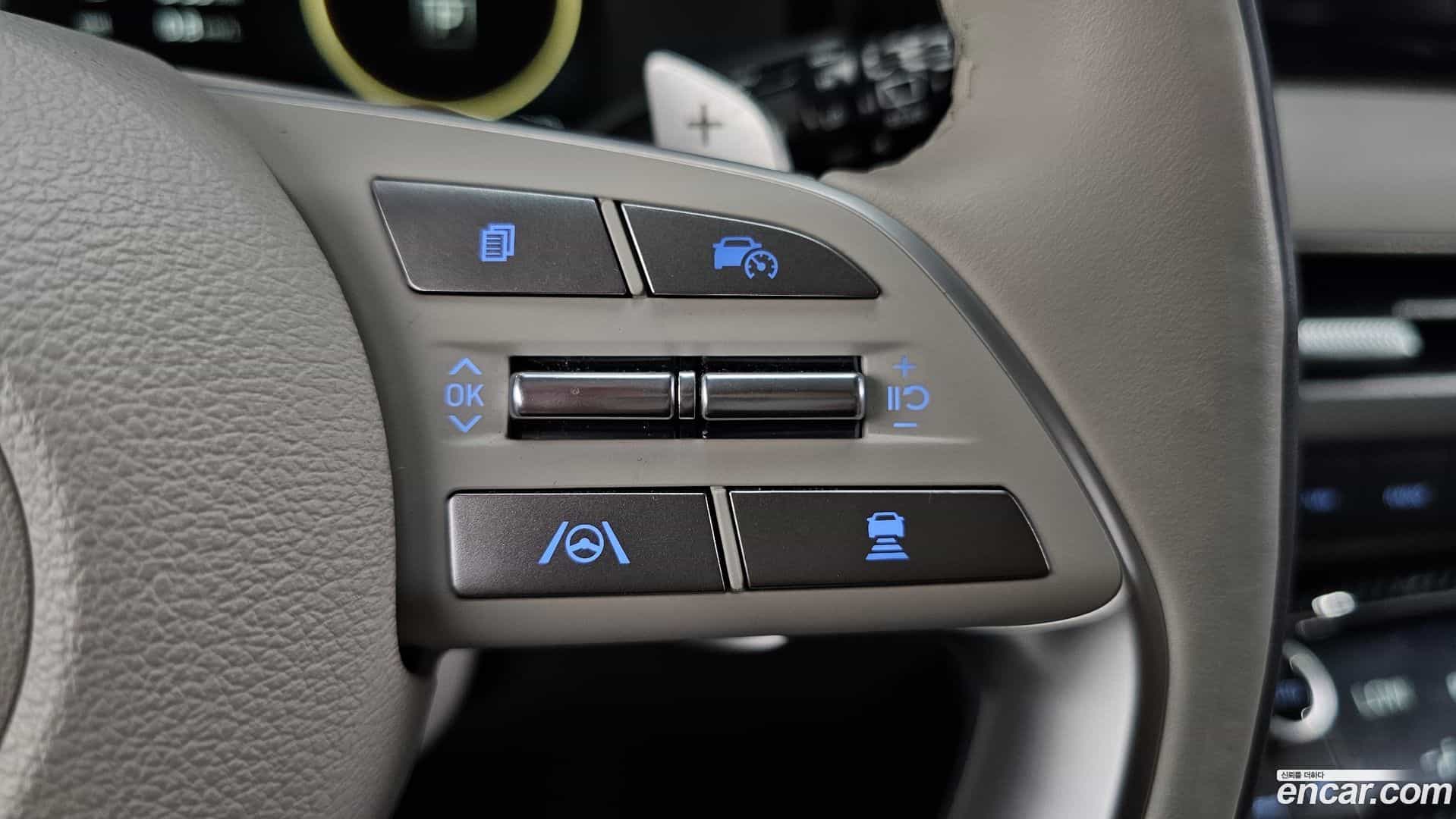 Palisade Hyundai 2024.1-OPTION-040