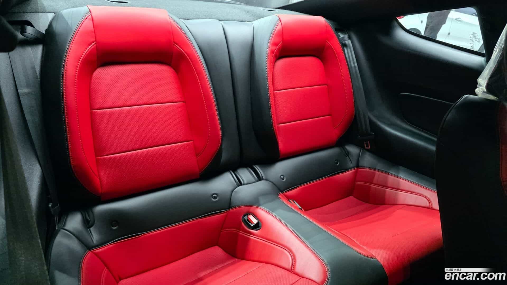 Mustang Ford 2021.10-OPTION-016