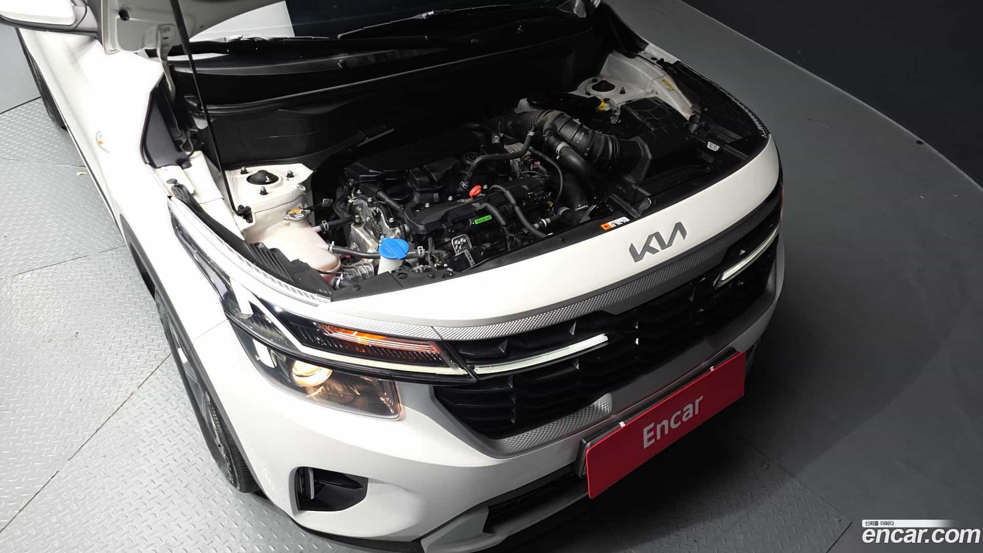 Seltos Kia 2024.1-OUTER-006