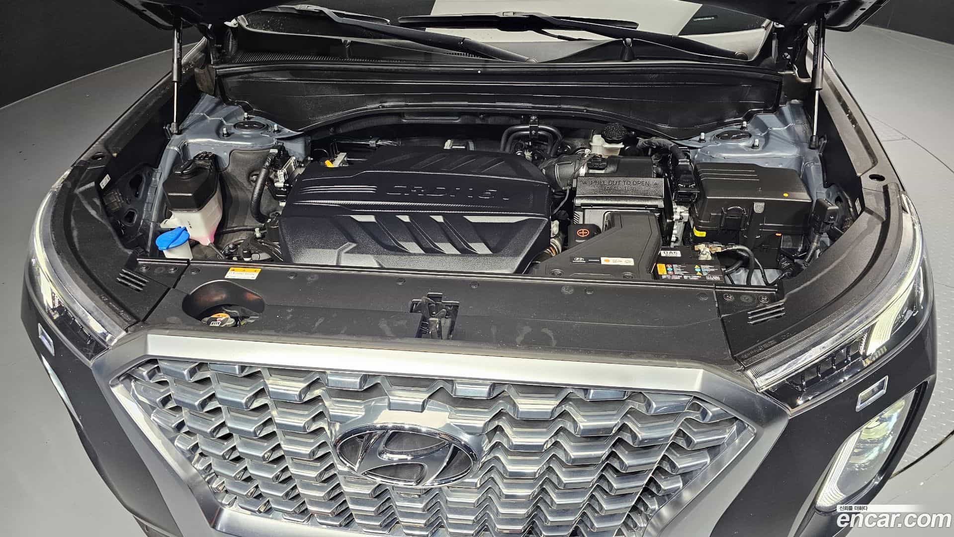 Palisade Hyundai 2020.11-OUTER-006