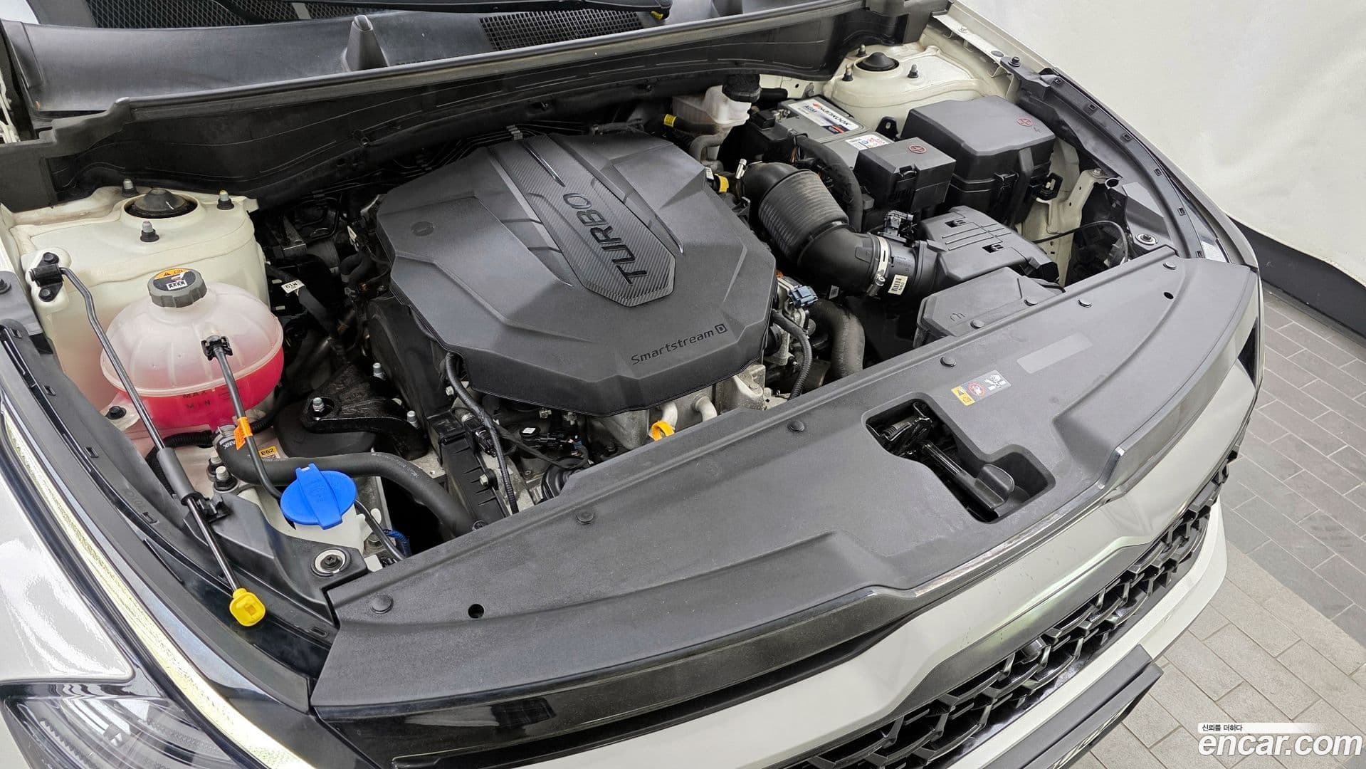 Main__Slider__Photo:Sportage Kia 2021.10-5