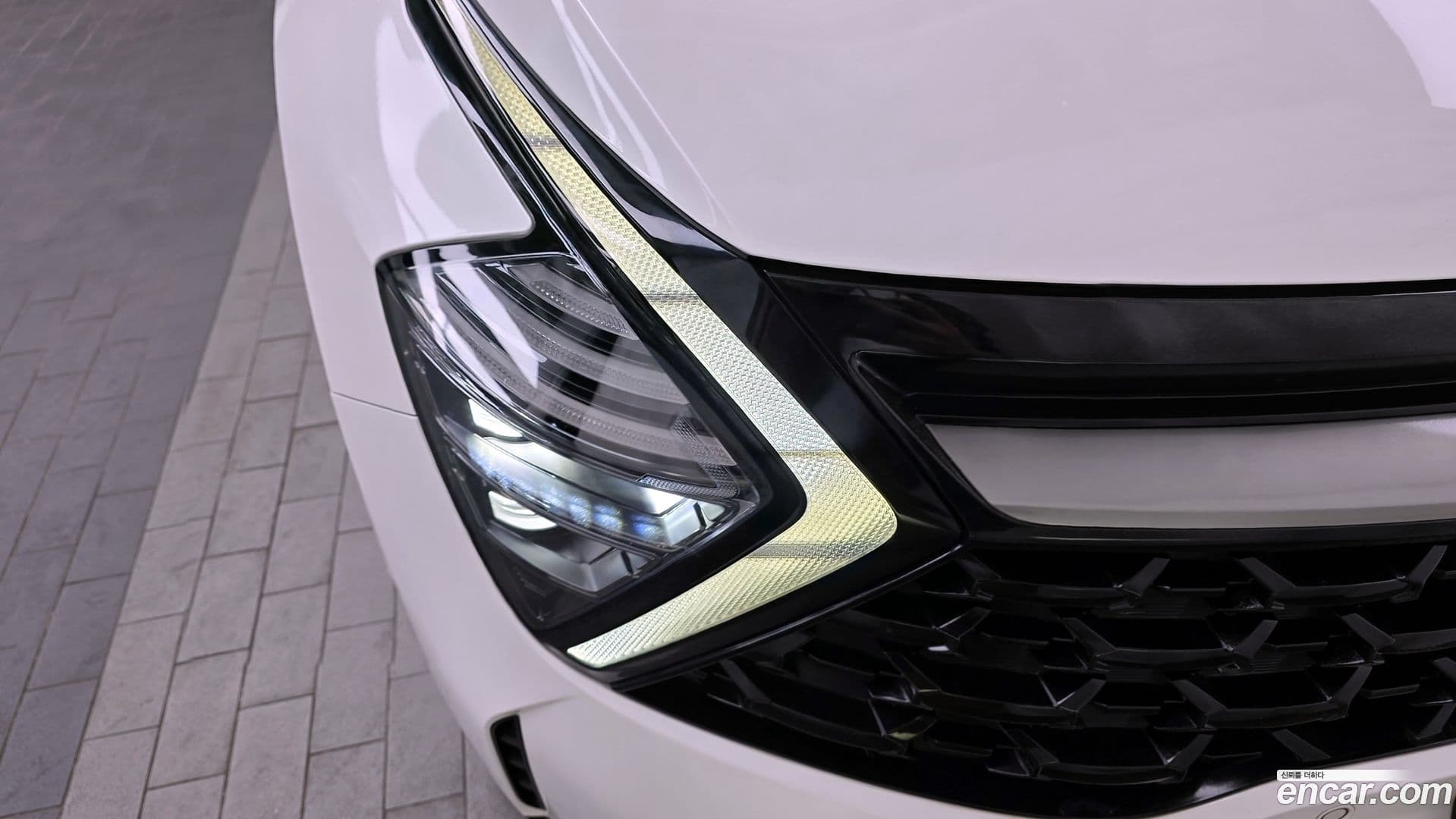 Main__Slider__Photo:Sportage Kia 2021.10-21