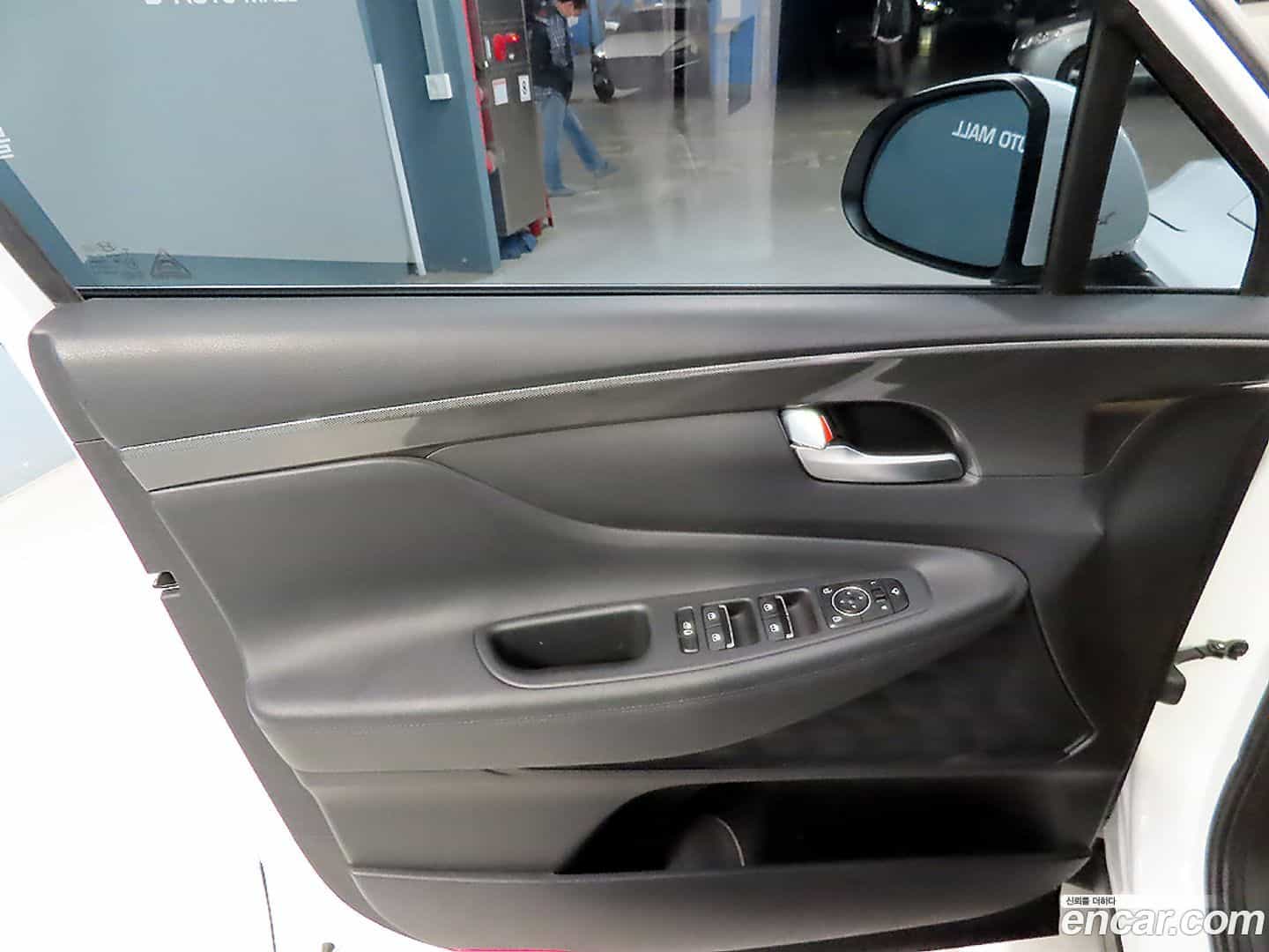 Santafe Hyundai 2022.10-OPTION-017