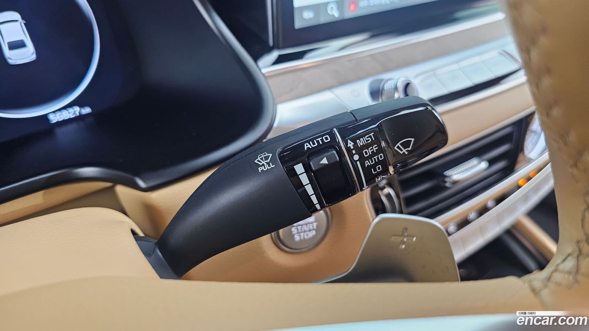 Main__Slider__Photo:K9 Kia 2021.7-29