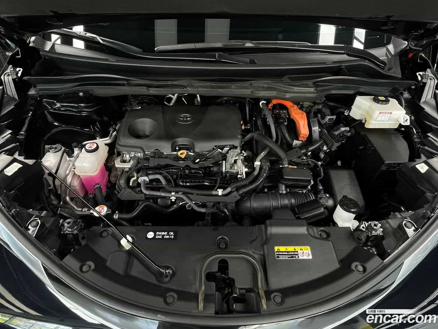 Sienna Toyota 2021.6-OUTER-006