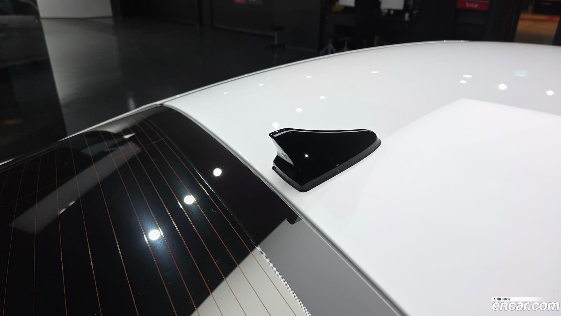 Main__Slider__Photo:AVANTE Hyundai 2023.5-26