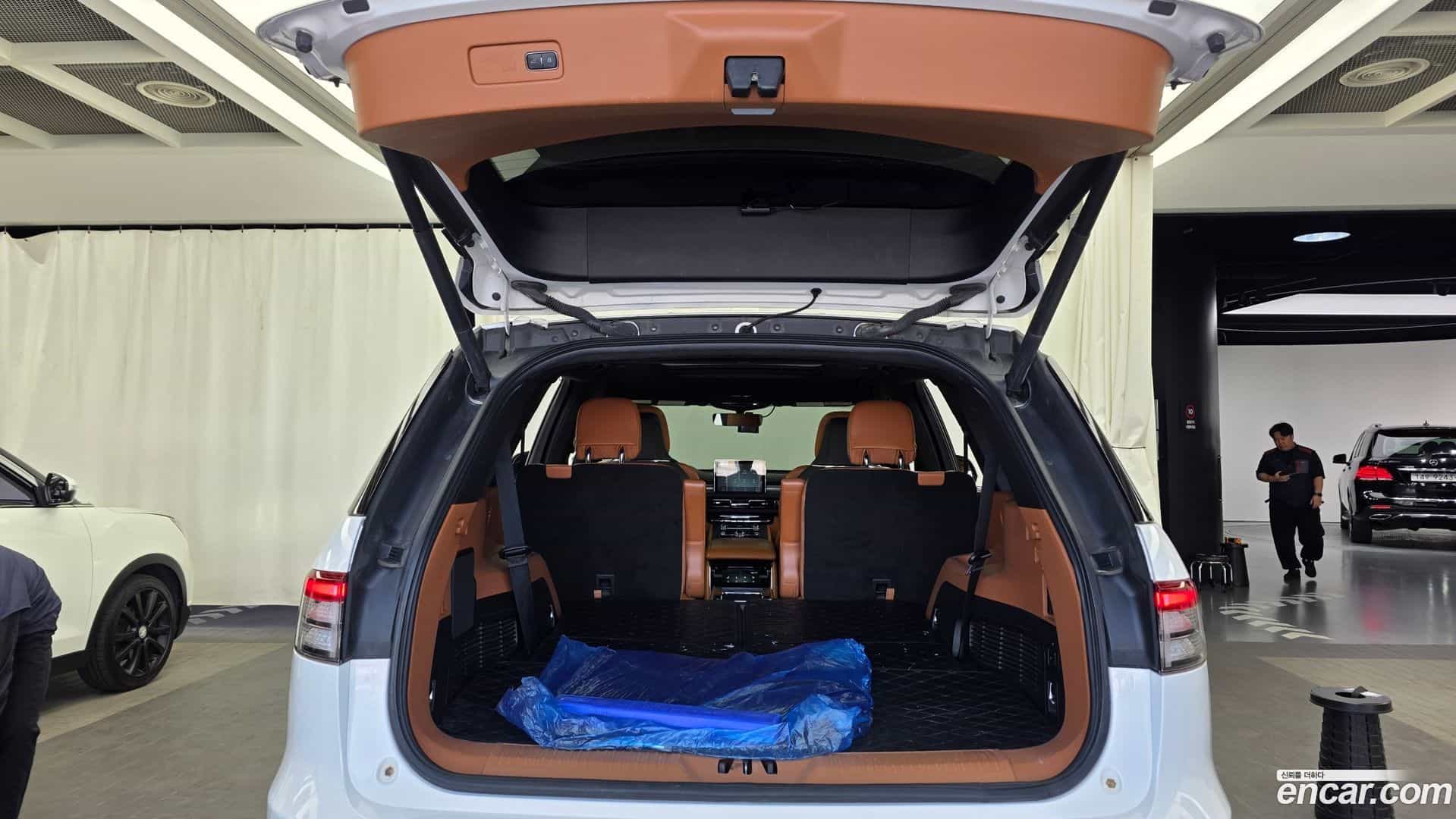 Aviator Lincoln 2020.4-OPTION-024