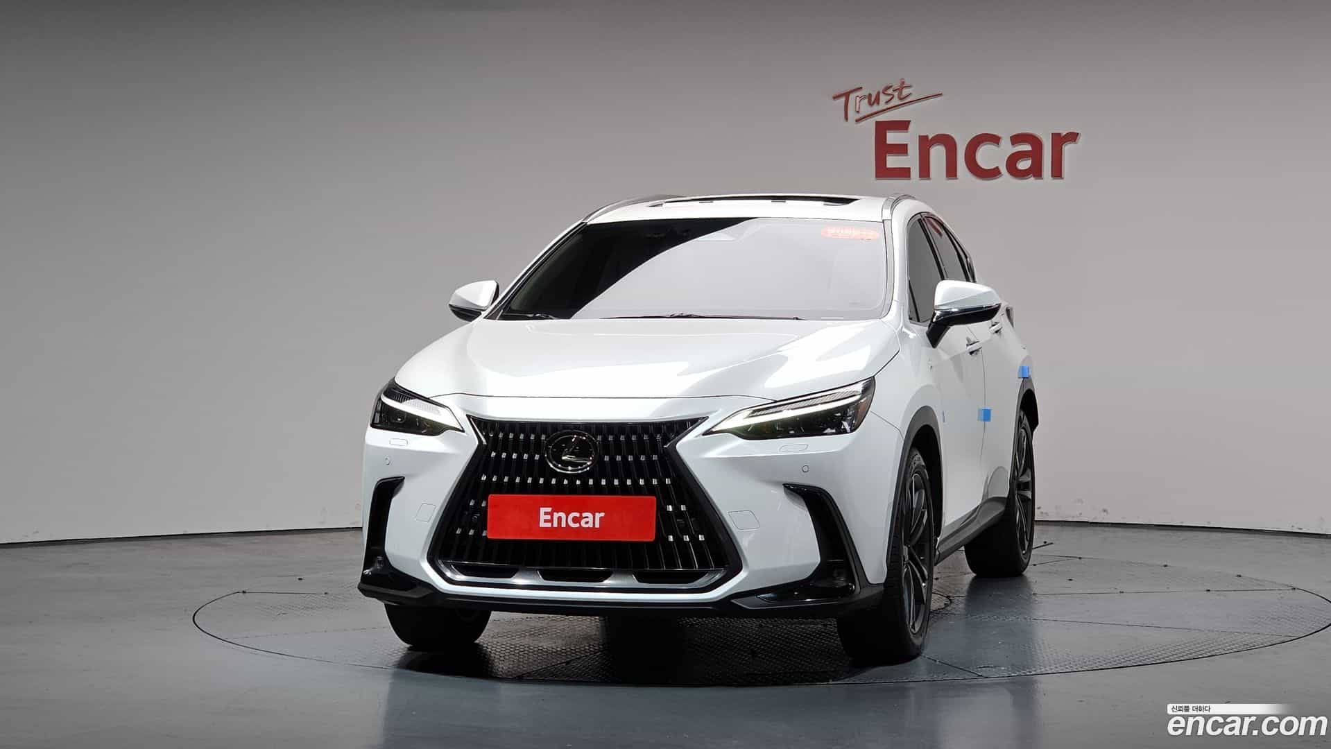 NX Lexus 2024.6-OUTER-003