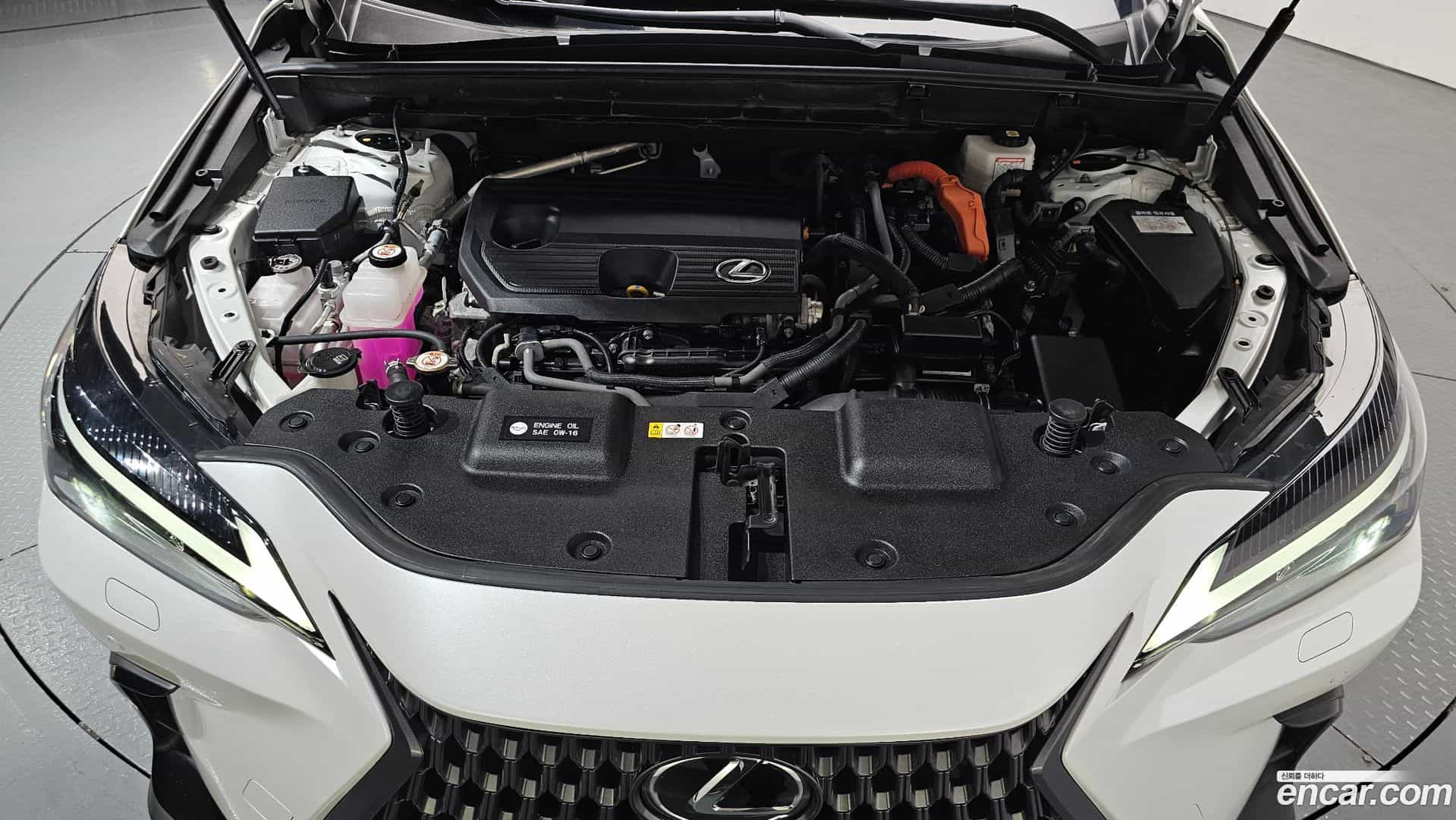 NX Lexus 2024.6-OUTER-006