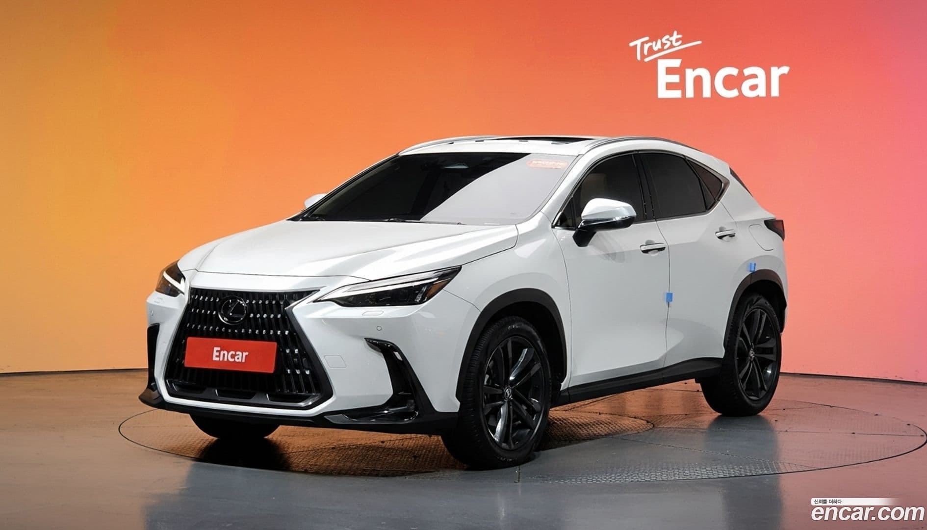 Main__Slider__Photo:NX Lexus 2024.6-0