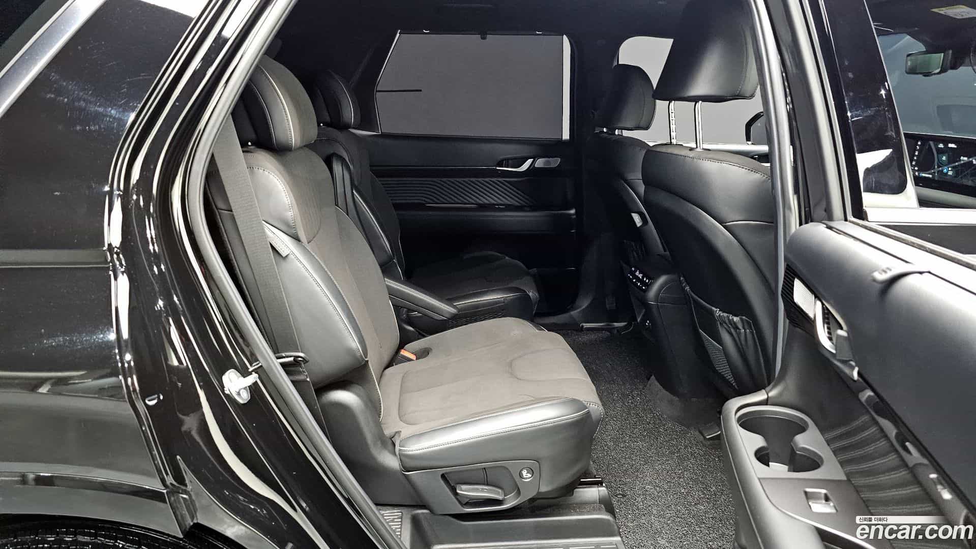 Palisade Hyundai 2024.11-OPTION-015