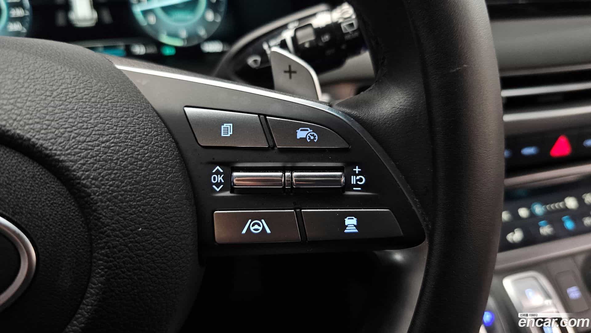 Palisade Hyundai 2024.11-OPTION-021