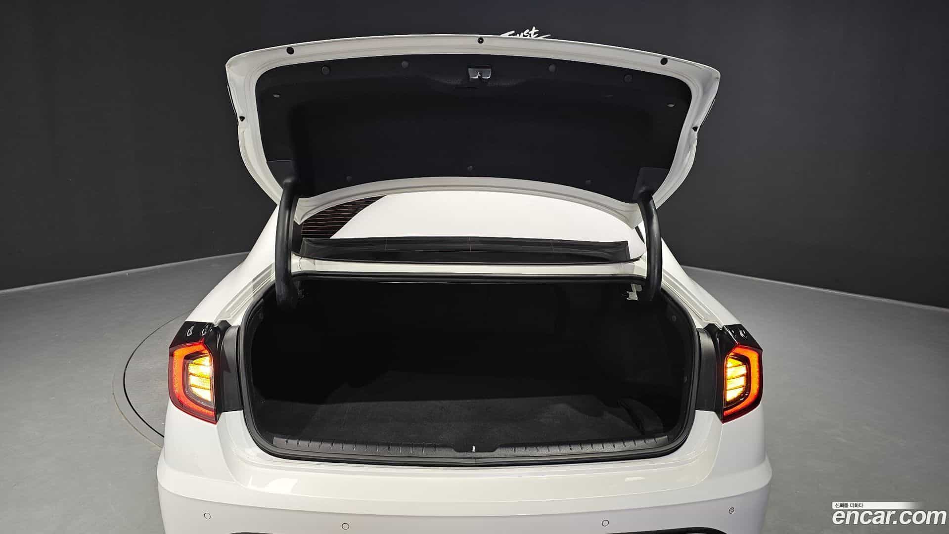 Sonata Hyundai 2019.4-OPTION-024