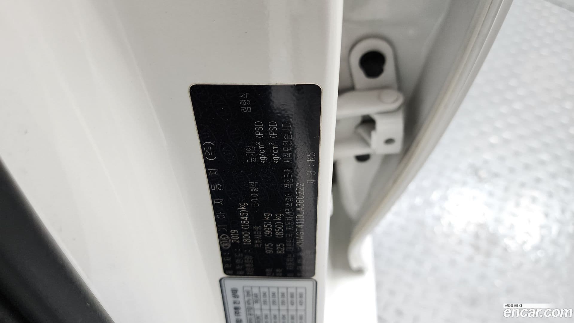 Main__Slider__Photo:K5 Kia 2019.6-18