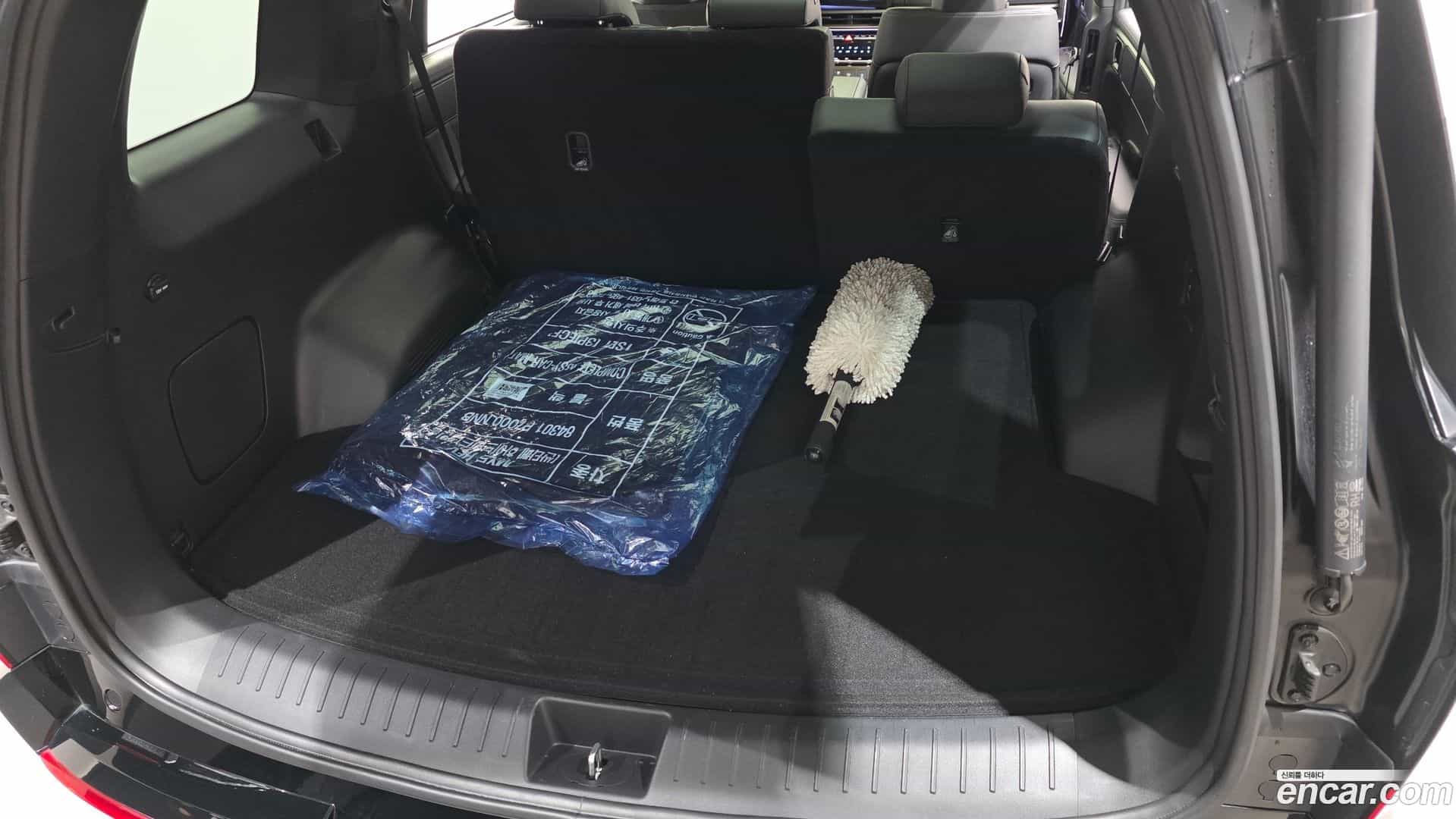 Santafe Hyundai 2024.11-OPTION-041