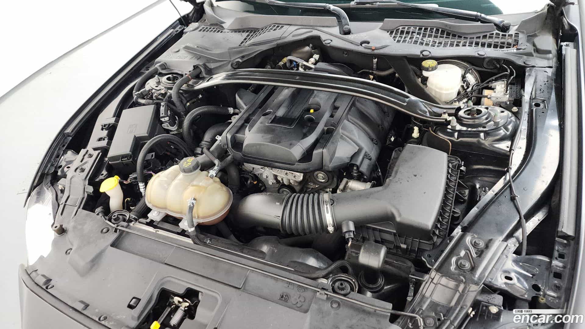 Mustang Ford 2018.4-OUTER-006