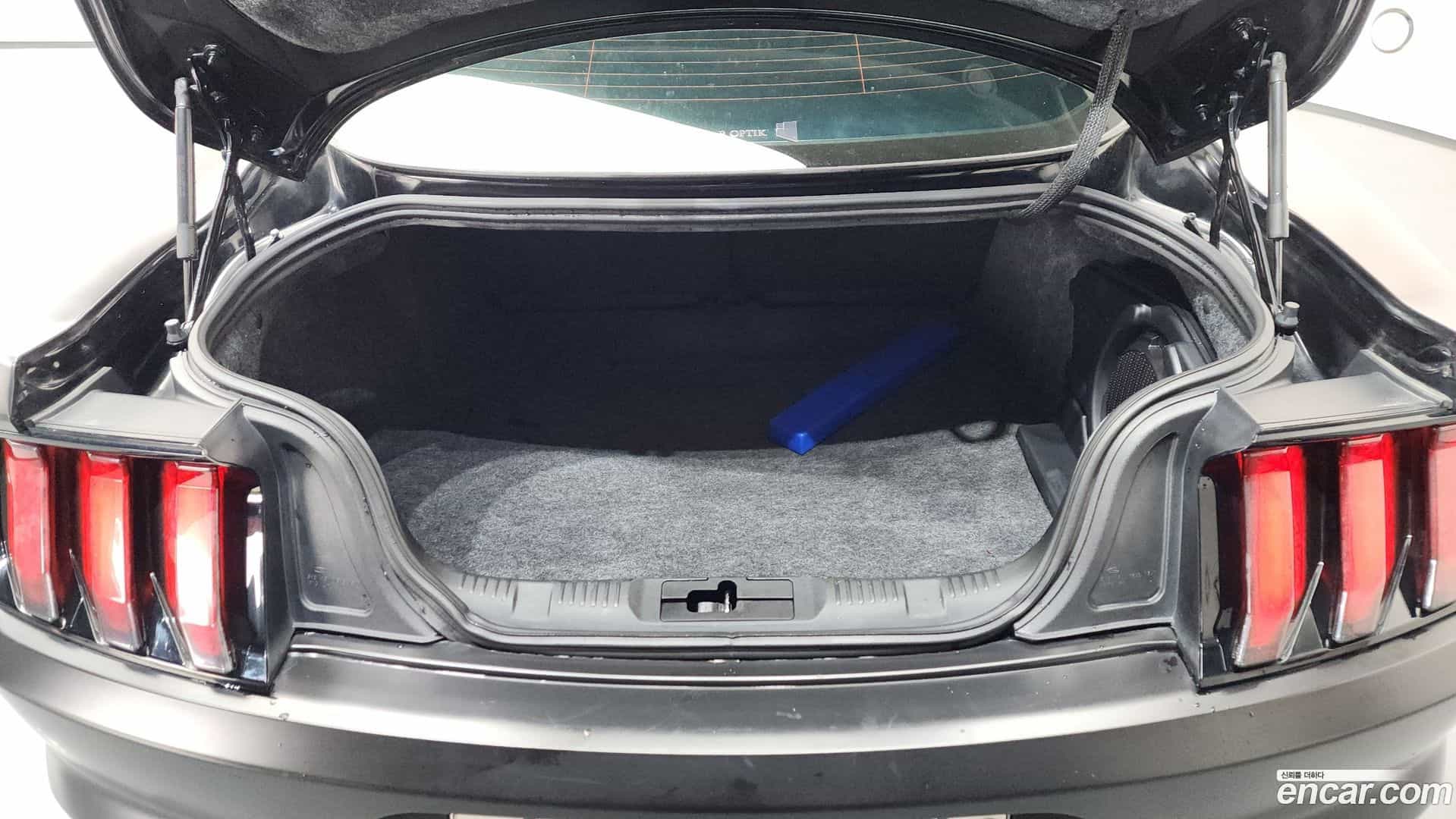 Mustang Ford 2018.4-OPTION-022