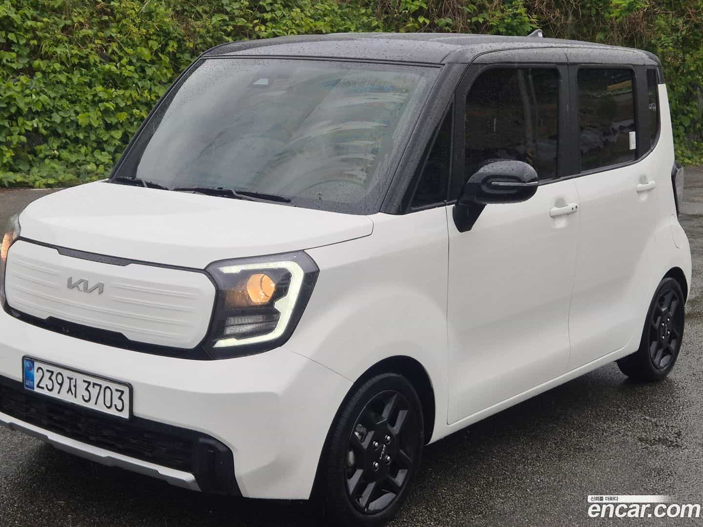 RAY Kia 2025.0-OUTER-001