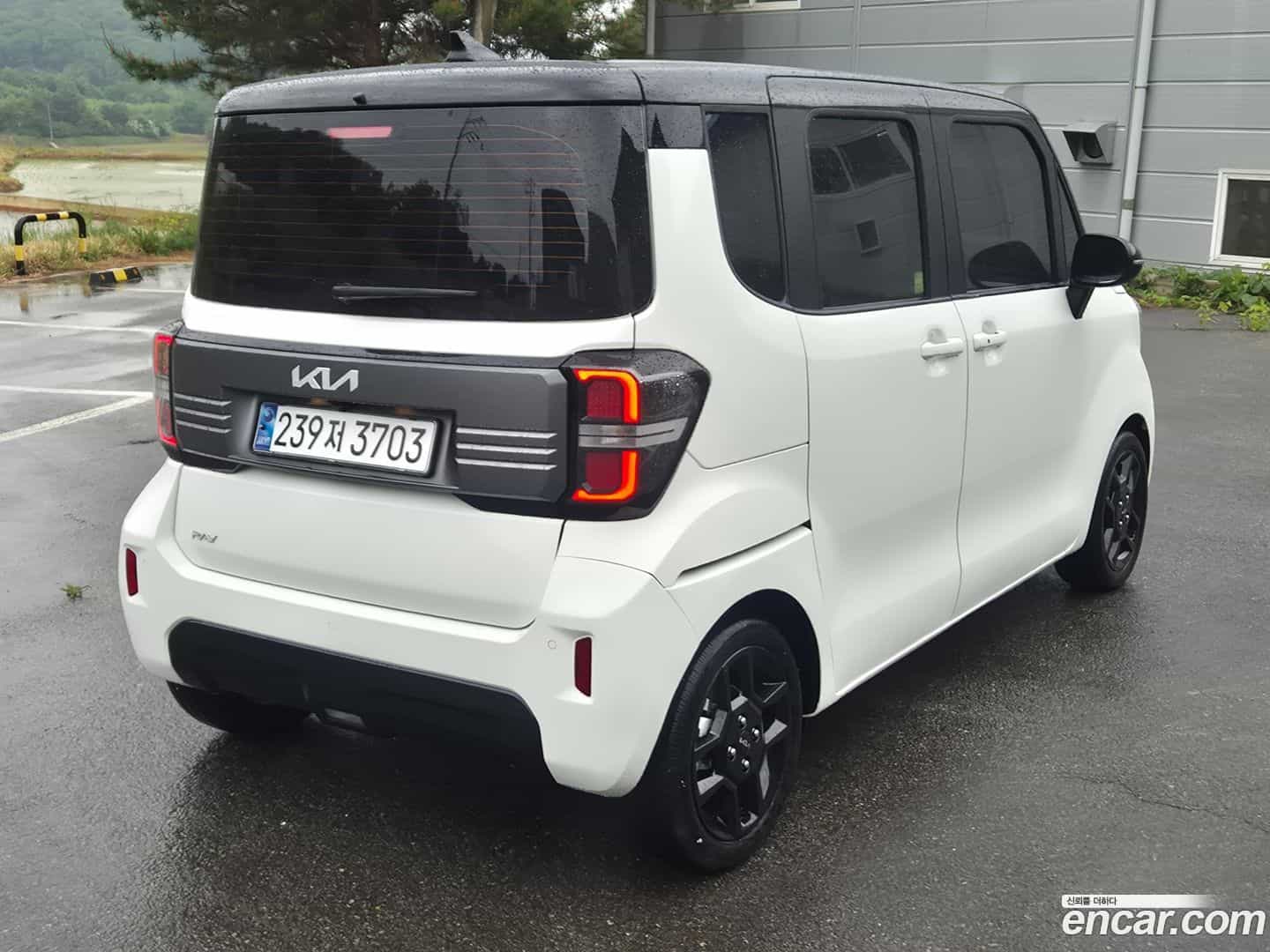 RAY Kia 2025.0-OUTER-002