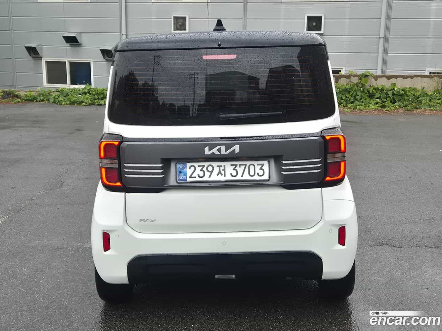 RAY Kia 2025.0-OUTER-004