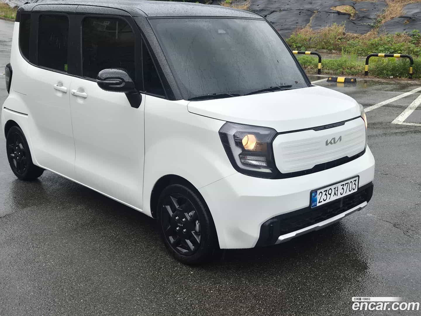 RAY Kia 2025.0-OUTER-005