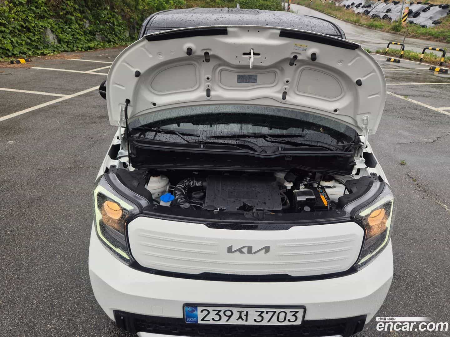 RAY Kia 2025.0-OUTER-006