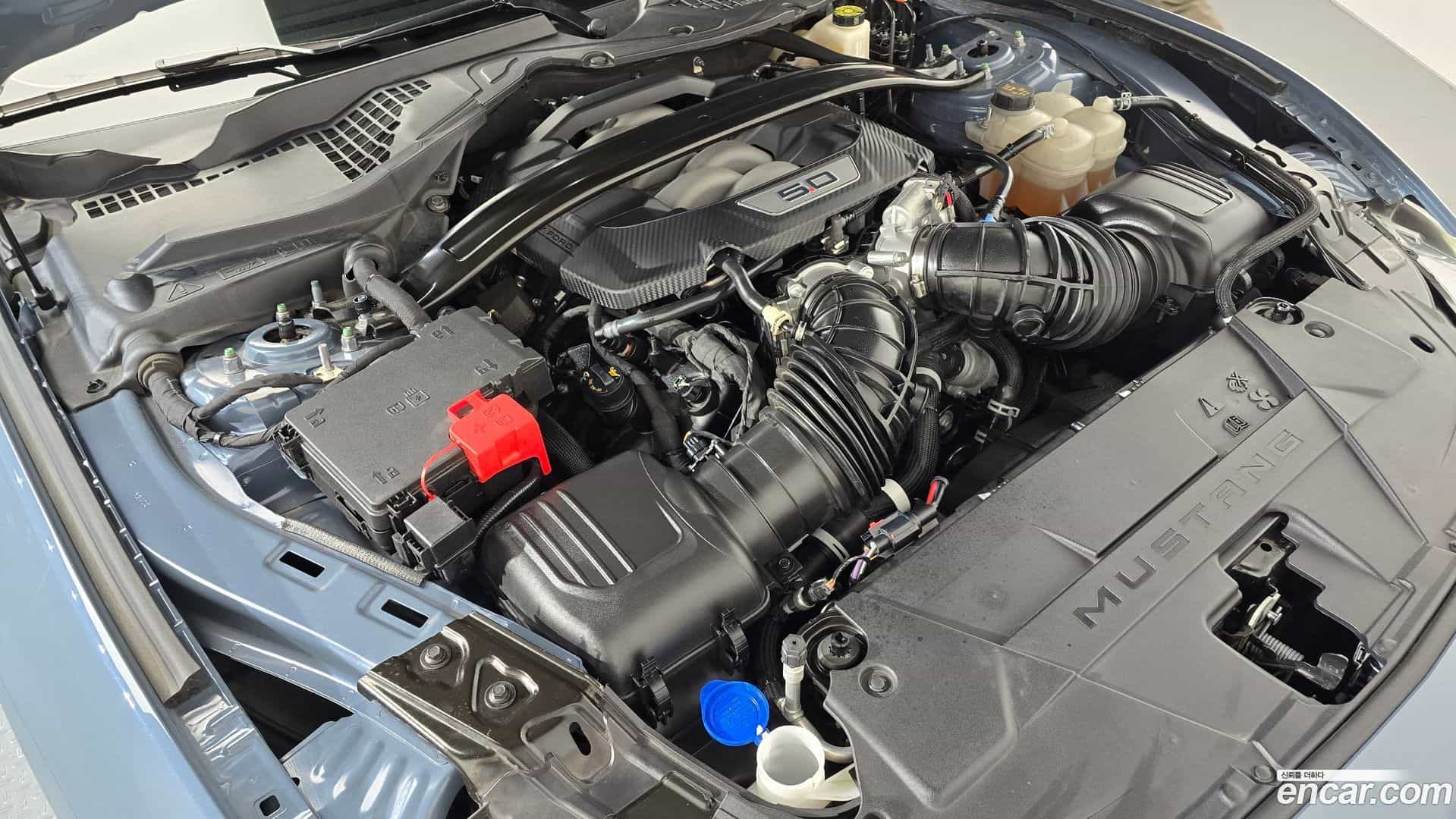 Mustang Ford 2024.2-OUTER-006