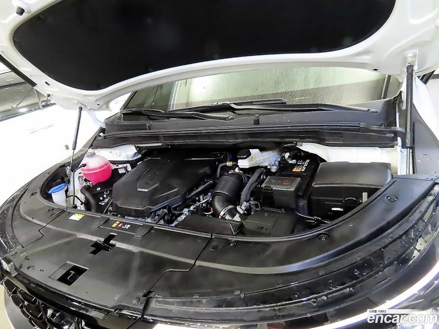 Canival Kia 2025.3-OPTION-023