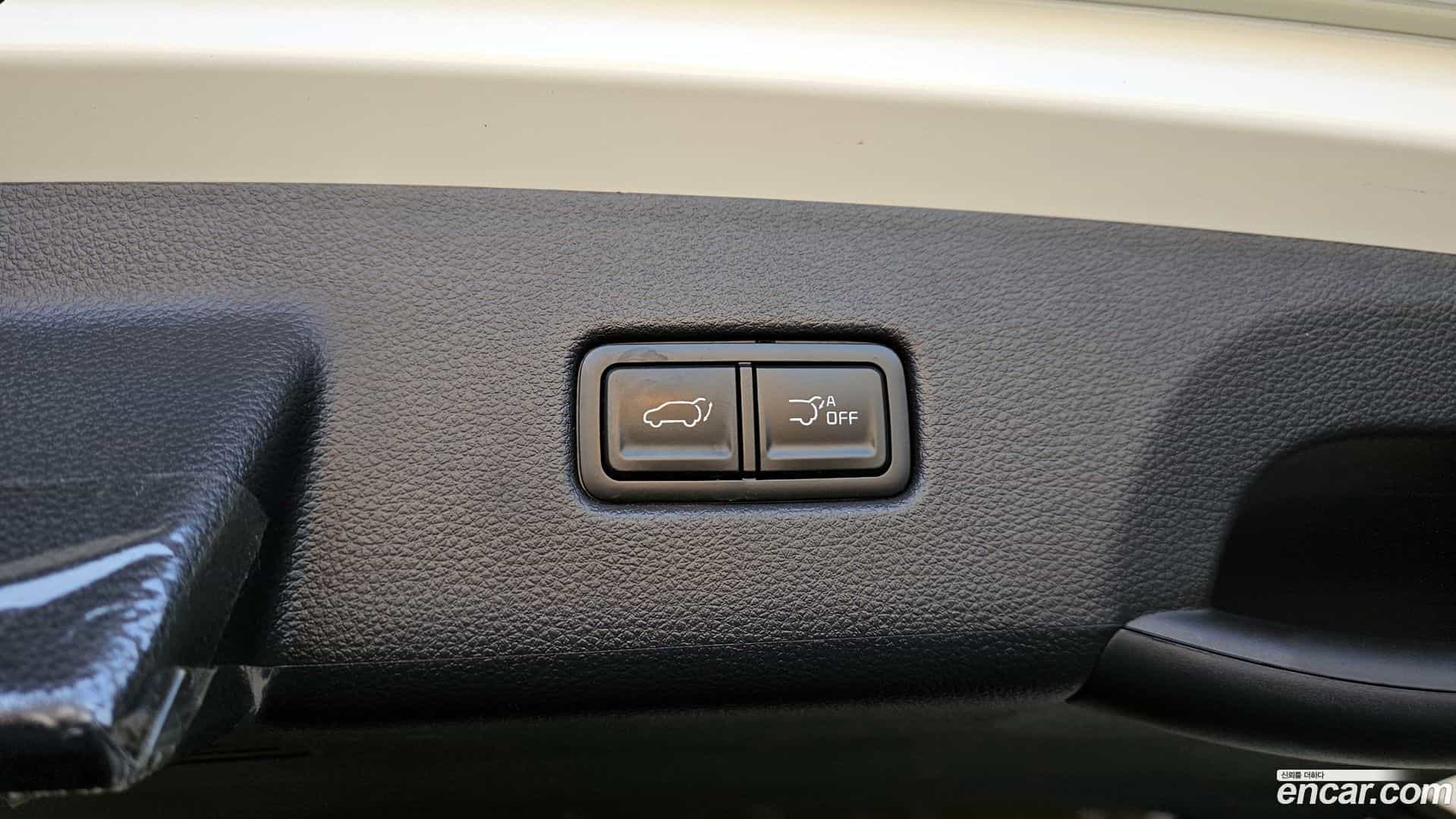 Canival Kia 2024.5-OPTION-024