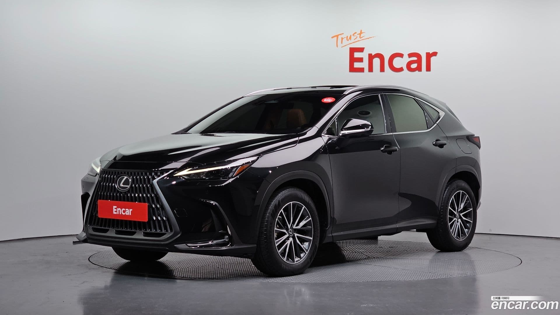 Main__Slider__Photo:NX Lexus 2023.5-0