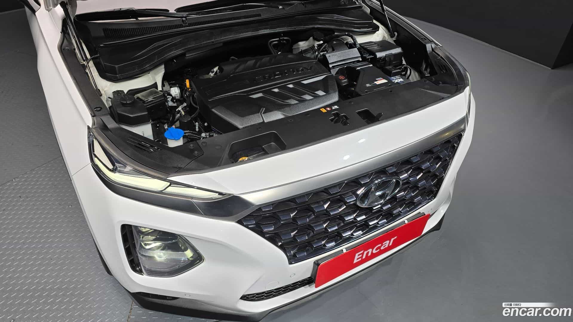 Santafe Hyundai 2018.4-OUTER-006