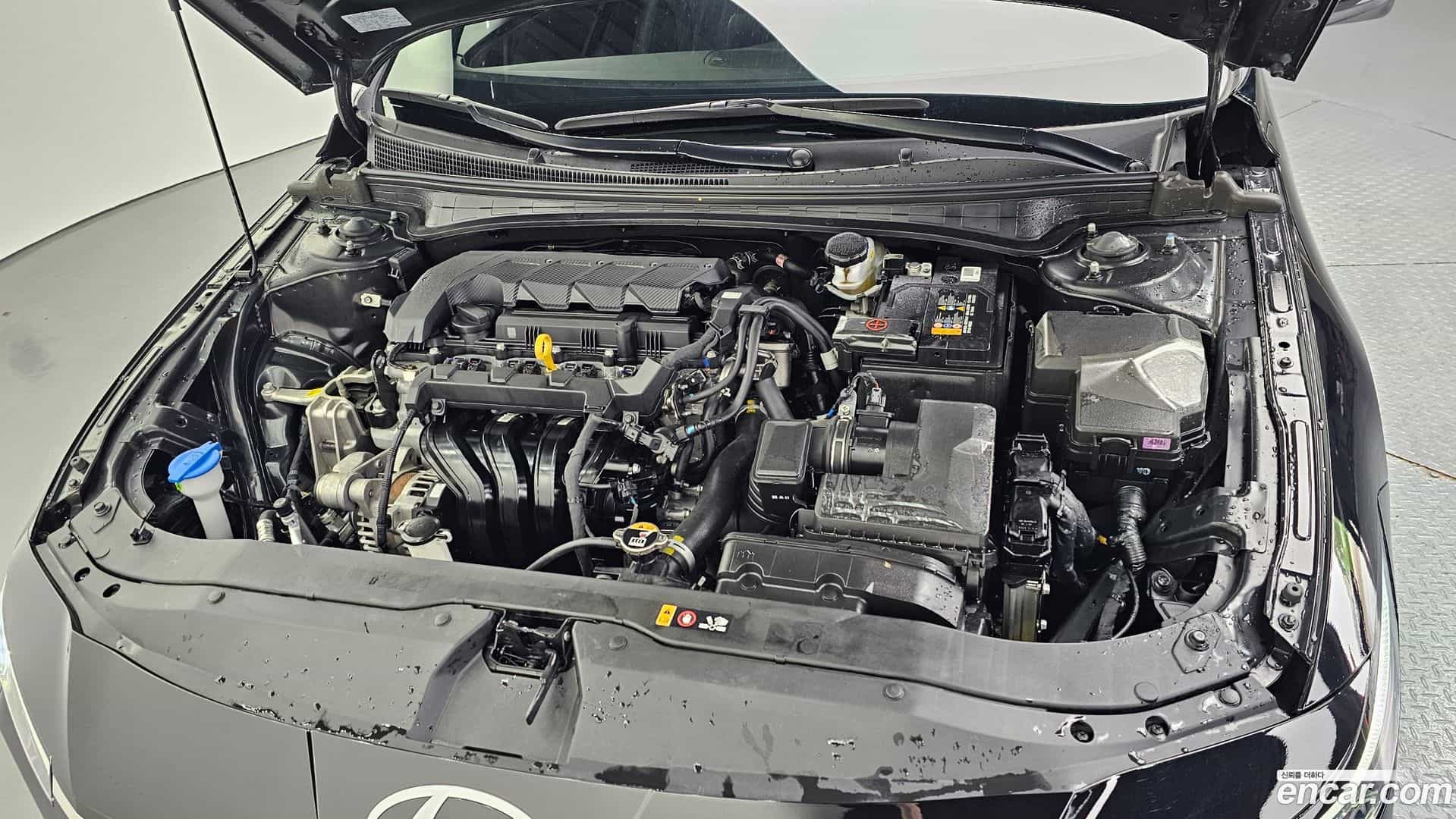 AVANTE Hyundai 2025.9-OUTER-006