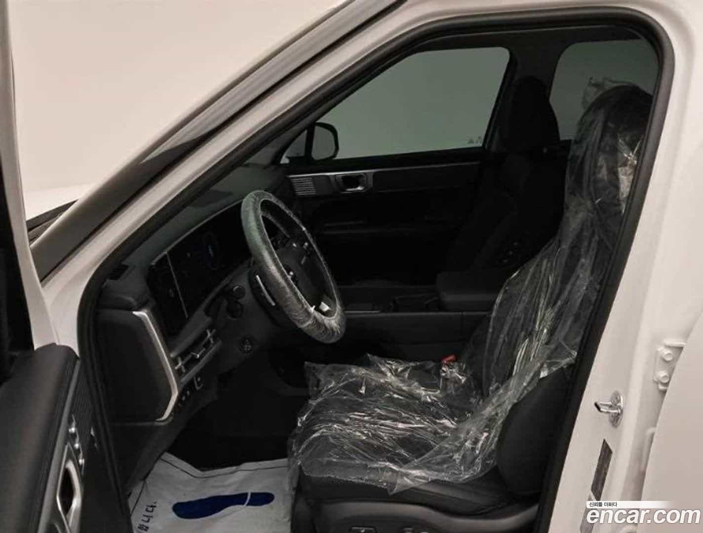 Santafe Hyundai 2024.10-OPTION-015