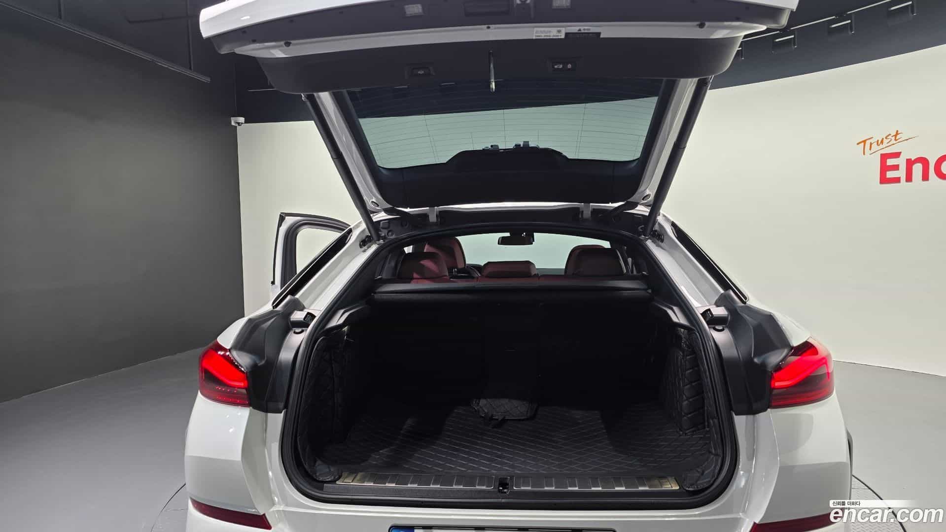 X6 BMW 2021.1-OPTION-046