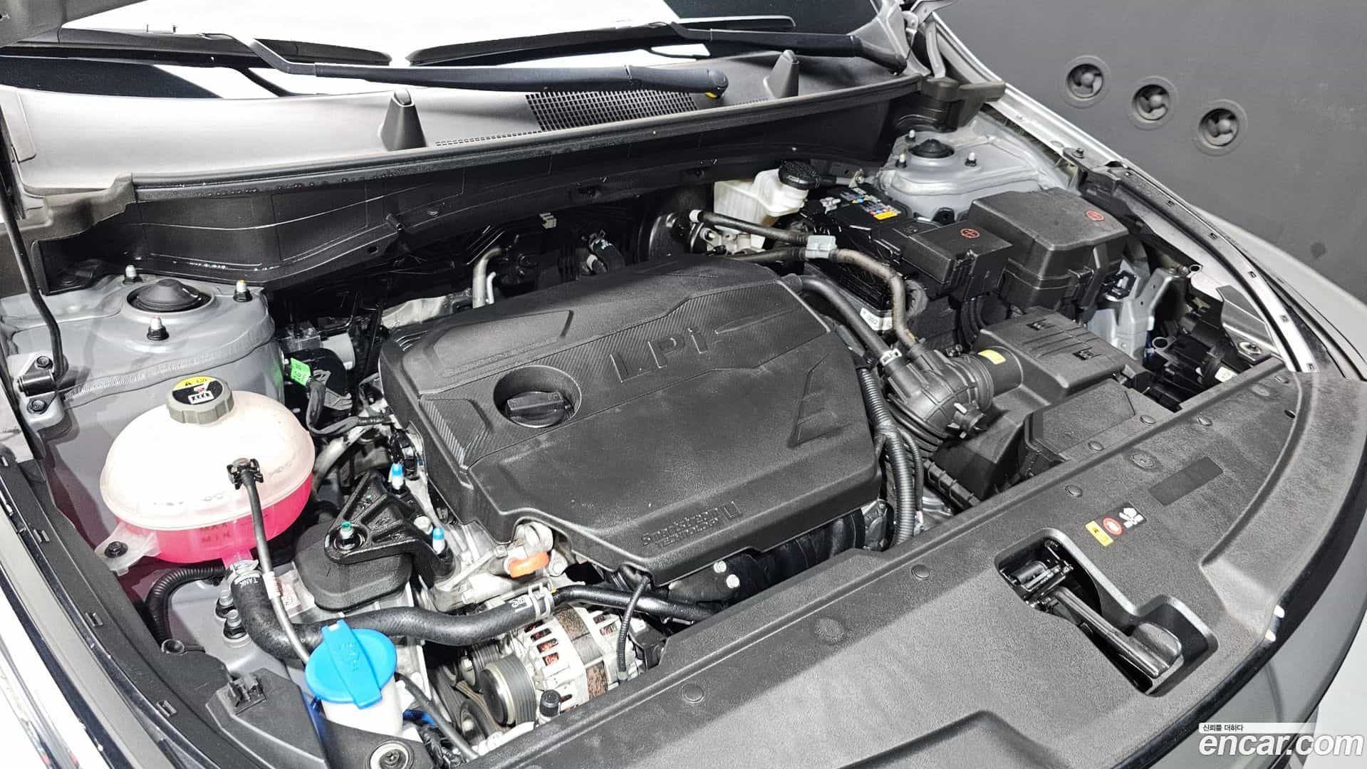 Sportage Kia 2024.1-OUTER-006