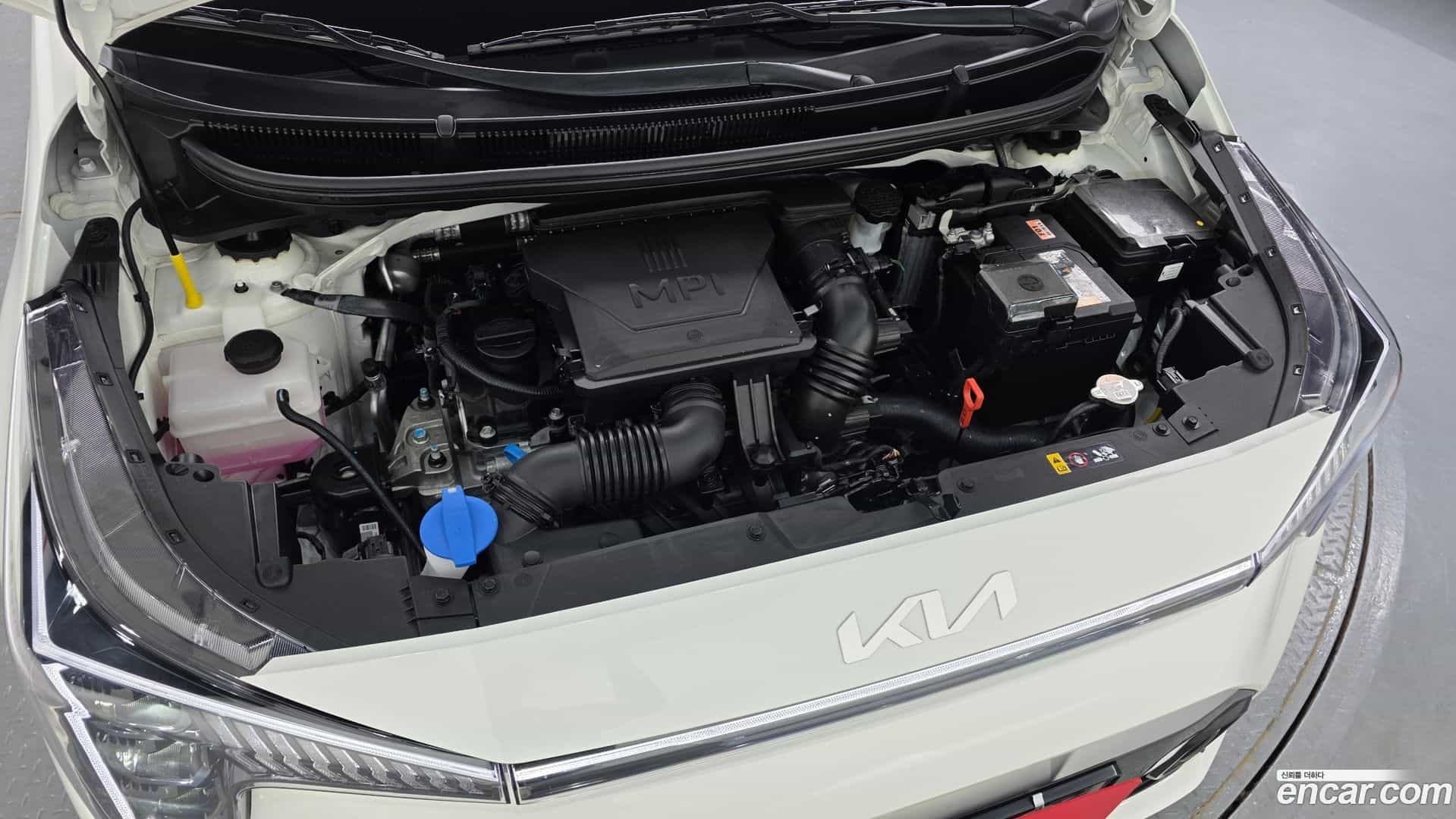 morning Kia 2025.9-OUTER-006