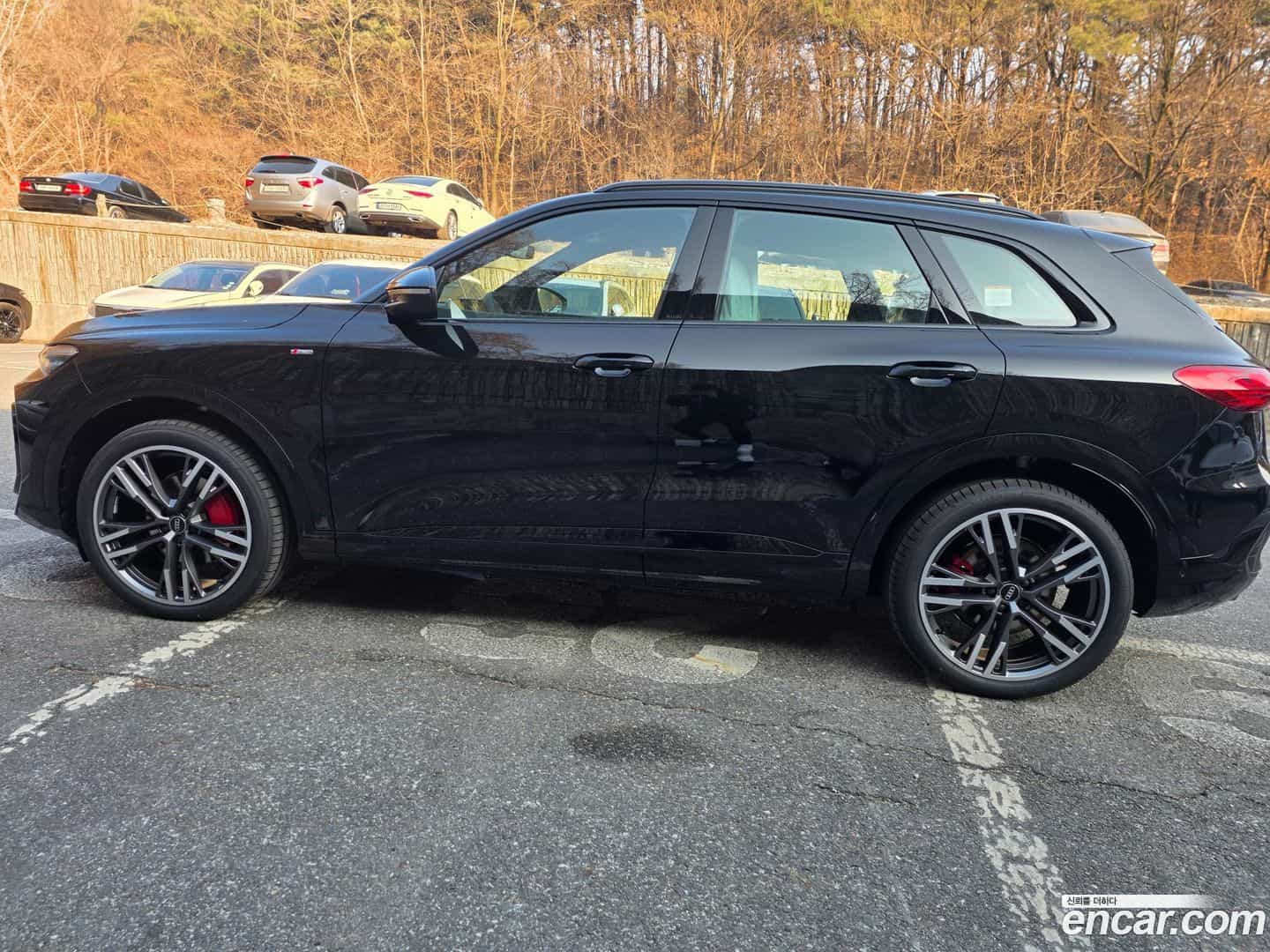 Q5 Audi 2025.11-OUTER-004